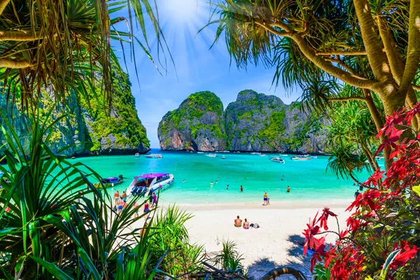 Phi Phi Islands Day Tour by Speedboat From Krabi