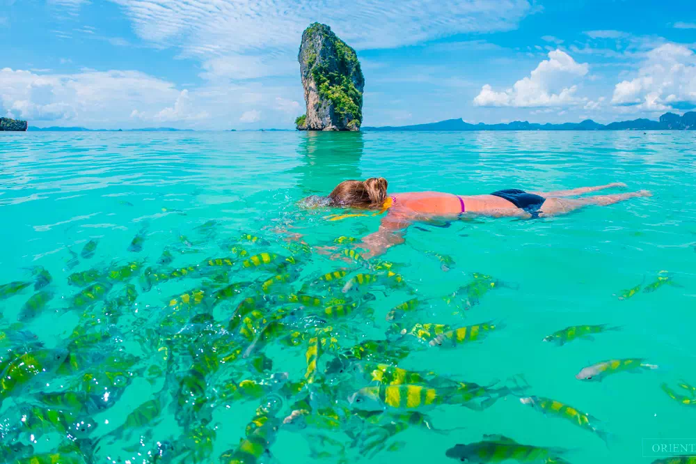 4 Islands Day Tour by Speedboat From Krabi view 4