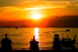 7 Islands Sunset Tour with BBQ Dinner and Bioluminescent Plankton Swimming thumb 11