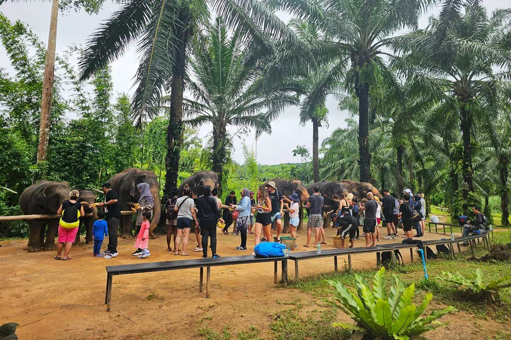 Krabi Ao Nang Elephant Sanctuary Half-Day Tour view 12