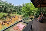 Krabi Ao Nang Elephant Sanctuary Half-Day Tour thumb 13