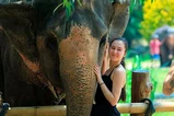 Krabi Ao Nang Elephant Sanctuary Half-Day Tour thumb 1