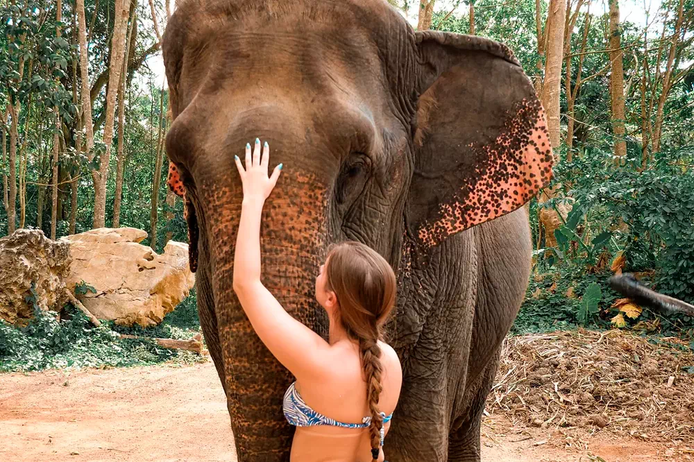 Krabi Ao Nang Elephant Sanctuary Half-Day Tour view 8