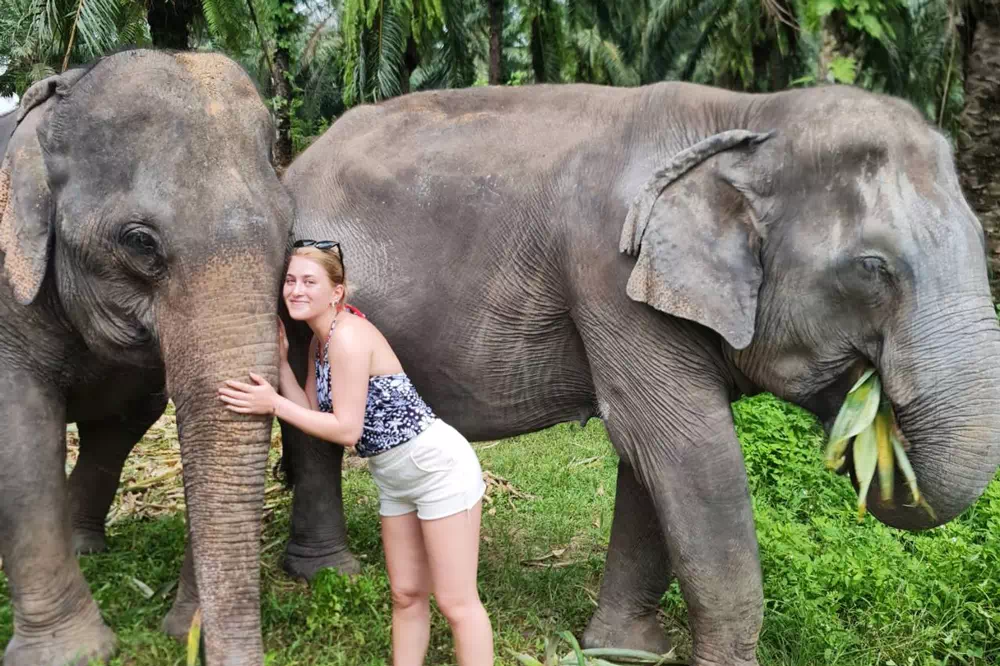 Krabi Ao Nang Elephant Sanctuary Half-Day Tour view 9