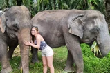 Krabi Ao Nang Elephant Sanctuary Half-Day Tour thumb 9