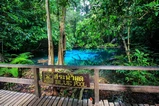 Emerald Pool, Hot Springs & Tiger Cave Full-Day Jungle Tour From Krabi thumb 10