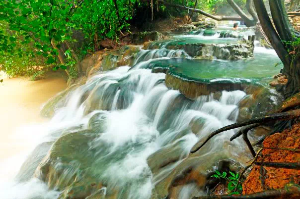 Emerald Pool, Hot Springs & Tiger Cave Full-Day Jungle Tour From Krabi view 11