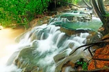 Emerald Pool, Hot Springs & Tiger Cave Full-Day Jungle Tour From Krabi thumb 11