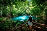 Emerald Pool, Hot Springs & Tiger Cave Full-Day Jungle Tour From Krabi thumb 1