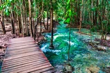 Emerald Pool, Hot Springs & Tiger Cave Full-Day Jungle Tour From Krabi thumb 2