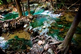 Emerald Pool, Hot Springs & Tiger Cave Full-Day Jungle Tour From Krabi thumb 3
