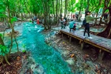Emerald Pool, Hot Springs & Tiger Cave Full-Day Jungle Tour From Krabi thumb 5
