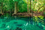 Emerald Pool, Hot Springs & Tiger Cave Full-Day Jungle Tour From Krabi thumb 6