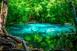 Emerald Pool, Hot Springs & Tiger Cave Full-Day Jungle Tour From Krabi thumb 9