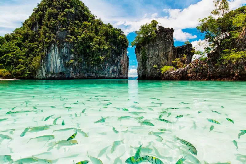 Ko Hong Island Tour by Speedboat From Krabi view 11