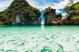 Ko Hong Island Tour by Speedboat From Krabi thumb 11
