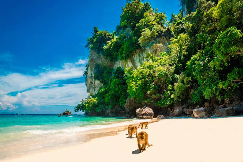 Phi Phi Islands Day Tour by Speedboat From Krabi view 3