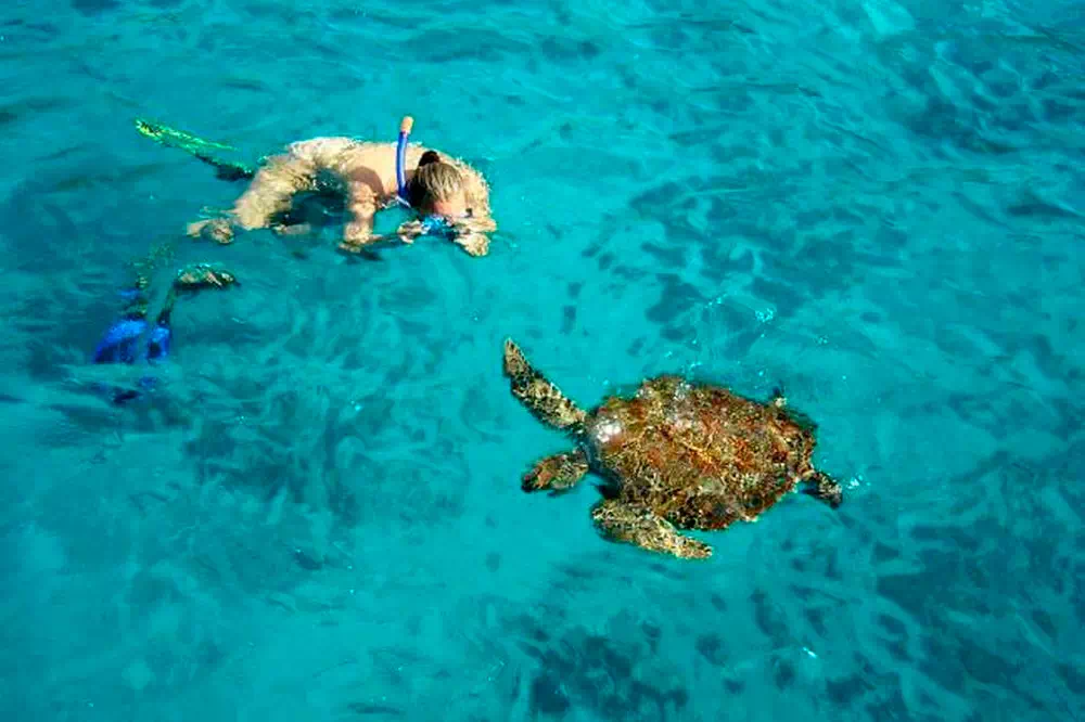 Similan Islands Snorkel Tour by Speedboat From Krabi view 10