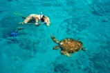 Similan Islands Snorkel Tour by Speedboat From Krabi thumb 10