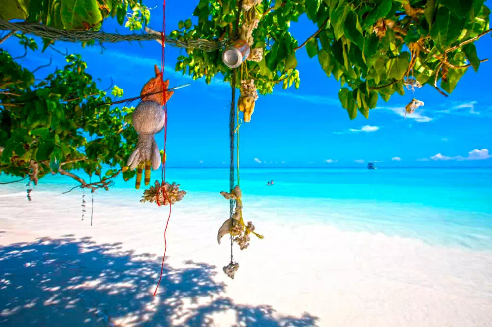 Similan Islands Snorkel Tour by Speedboat From Krabi view 3