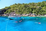 Similan Islands Snorkel Tour by Speedboat From Krabi thumb 6