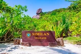 Similan Islands Snorkel Tour by Speedboat From Krabi thumb 7
