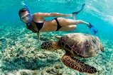 Similan Islands Snorkel Tour by Speedboat From Krabi thumb 9